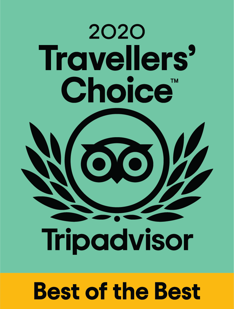 traveller'choice 2020 tripadvisor sirenas mediterranean academy verde